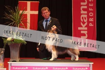 126827_tl_04_IMG_9909.JPG