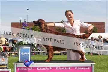 130370_se_02_IMG_6238.JPG