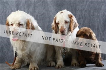 129608_le_ 01_0727.JPG