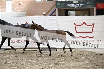 181754_kbb_01_Z093865.JPG