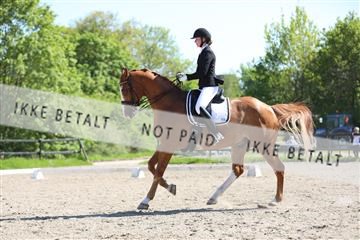 168732_mtp_01_3M5A8103.JPG