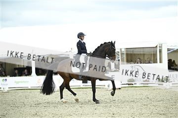 181449_kbb_03_Z091740.JPG