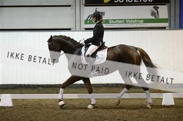 141472_abo_01__AB14892.JPG