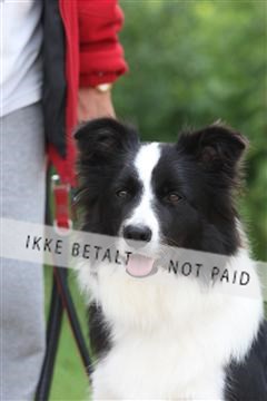 130370_se_01_IMG_5202.JPG