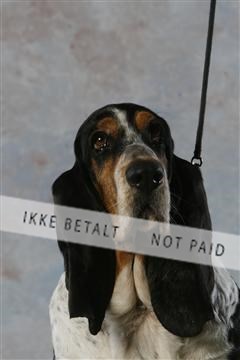 5493_sme _03__MG_9818.JPG