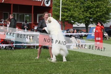 134871_ms_04_IMG_1112.JPG