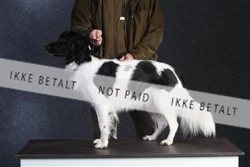 132082_le_ 01_IMG_0546.JPG