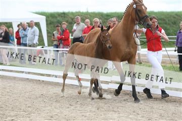 125406_sc_01_IMG_0675.jpg