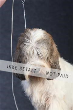 132082_le_ 01_IMG_0058.JPG