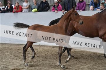 156435_kuo_01__D057007.JPG