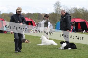 124188 _tl_02_IMG_9450.JPG