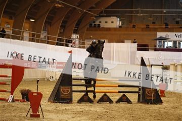 142583_ms_01__MG_8998.JPG