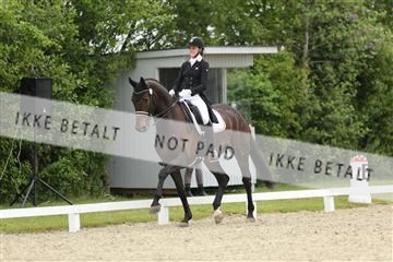 139835_sg_01_IMG_8127.JPG