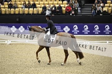 182194_kbb_02_Z098604.JPG