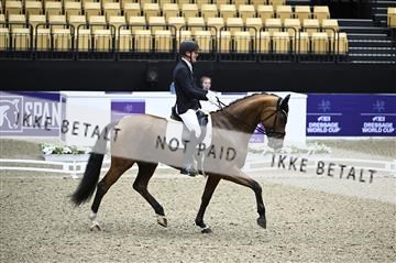 182194_kbb_01_Z095418.JPG