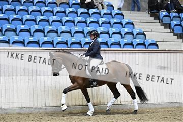 182241_kbb_01_Z095159.JPG