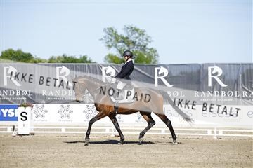 181449_kbb_01_6II9716.JPG