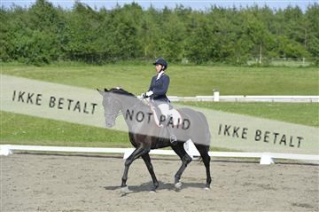 140040_abo_01__AB17360.JPG