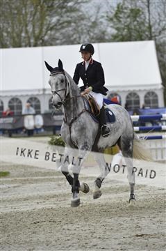 139644_abo_03__AB14983.JPG