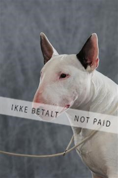 128239_le_kort_ 01_0281.JPG