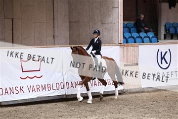 181957_avh_01_4389.JPG