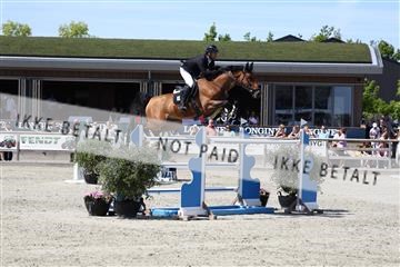 181436_avh_03_4592.JPG
