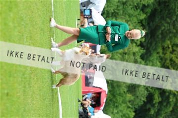 181564_rin_02_R62_1455.JPG