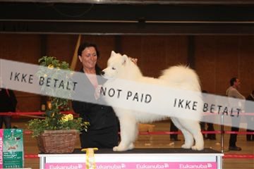 124188 _tl_02_IMG_9319.JPG