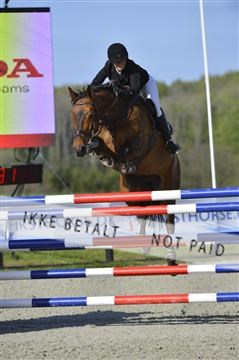 139644_abo_02__AB14664.JPG
