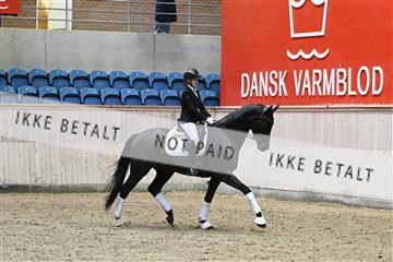 182241_kbb_01_Z093520.JPG