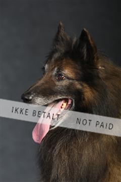 132082_le_ 01_IMG_0957.JPG