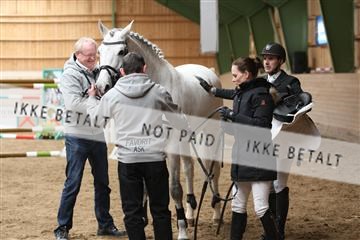 139265_kl_1_8M1Q6370.JPG