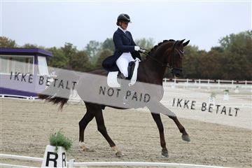 181923_mtp_04_R62_8273.JPG