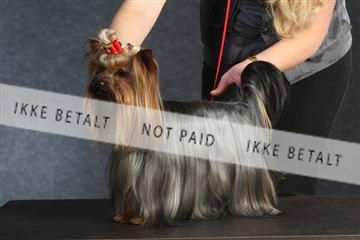 132082_le_ 01_IMG_0358.JPG