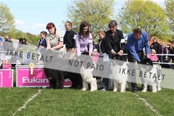 134871_ms_02_IMG_3814.JPG