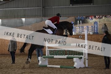 139206_kl_1_8M1Q5152.JPG