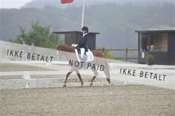 169624_kbb_01__KBB8060.JPG