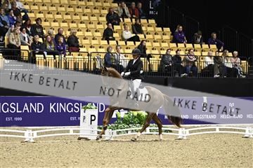 182194_kbb_03_Z090687.JPG