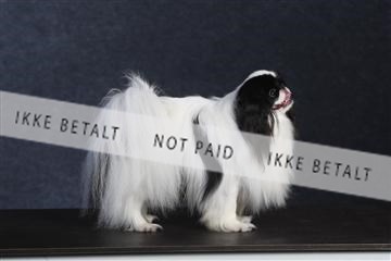 132082_le_ 01_IMG_0696.JPG