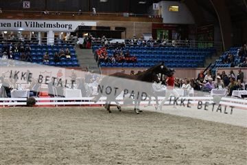 181957_mtp_08_R62_5630.JPG