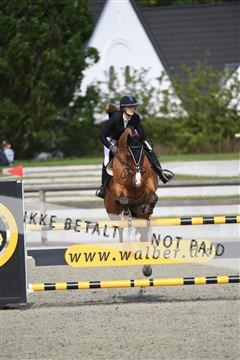 169152_abo_01_D05_0571.JPG