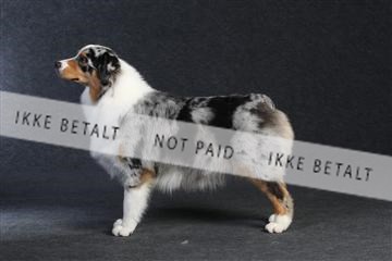 132082_le_ 01_IMG_0246.JPG