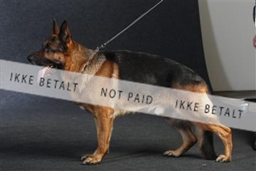 132082_le_ 01_IMG_0934.JPG