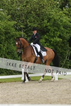 139835_sg_03_IMG_9101.JPG