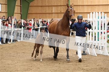 139265_kl_1_8M1Q6067.JPG