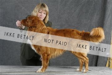 5493_sme _02__MG_9723.JPG