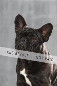 130054_le_ 03_0023.JPG