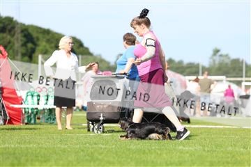 181564_rin_02_R62_1088.JPG