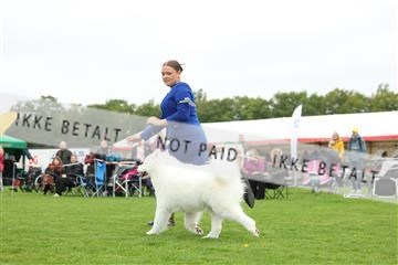 182009_rin_01_R62_6923.JPG