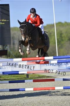 139644_abo_02__AB14815.JPG
